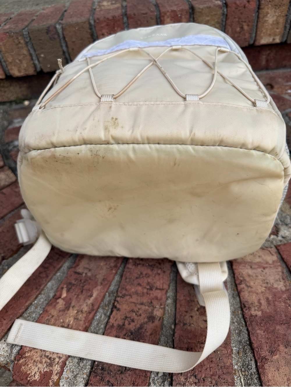 Backpack Cooler - Picture 6 of 8